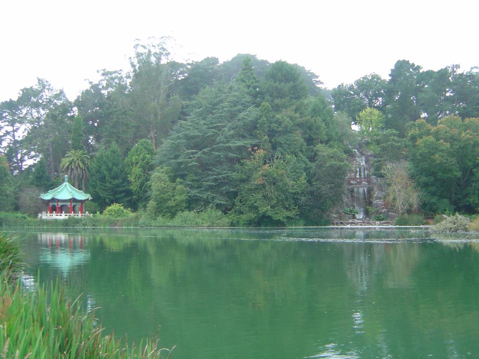 See im befahrbaren Golden Gate Park